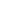 WordPress design and development technology icon